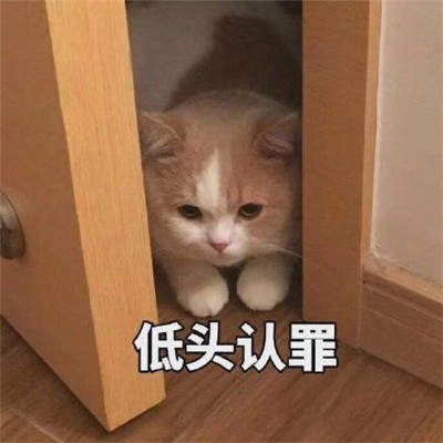 手机游戏下载网