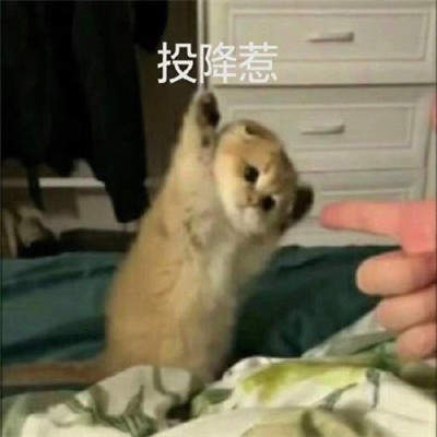 手机游戏下载网