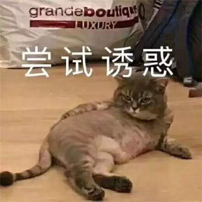 手机游戏下载网
