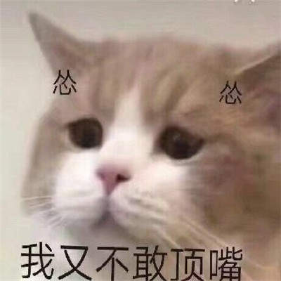 手机游戏下载网