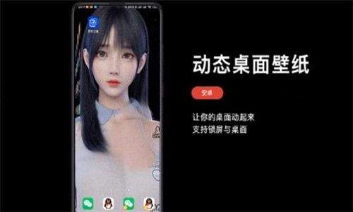 wallpaper麻匪壁纸(透视)