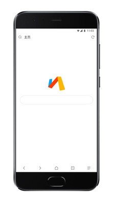 via浏览器谷歌版v2.0