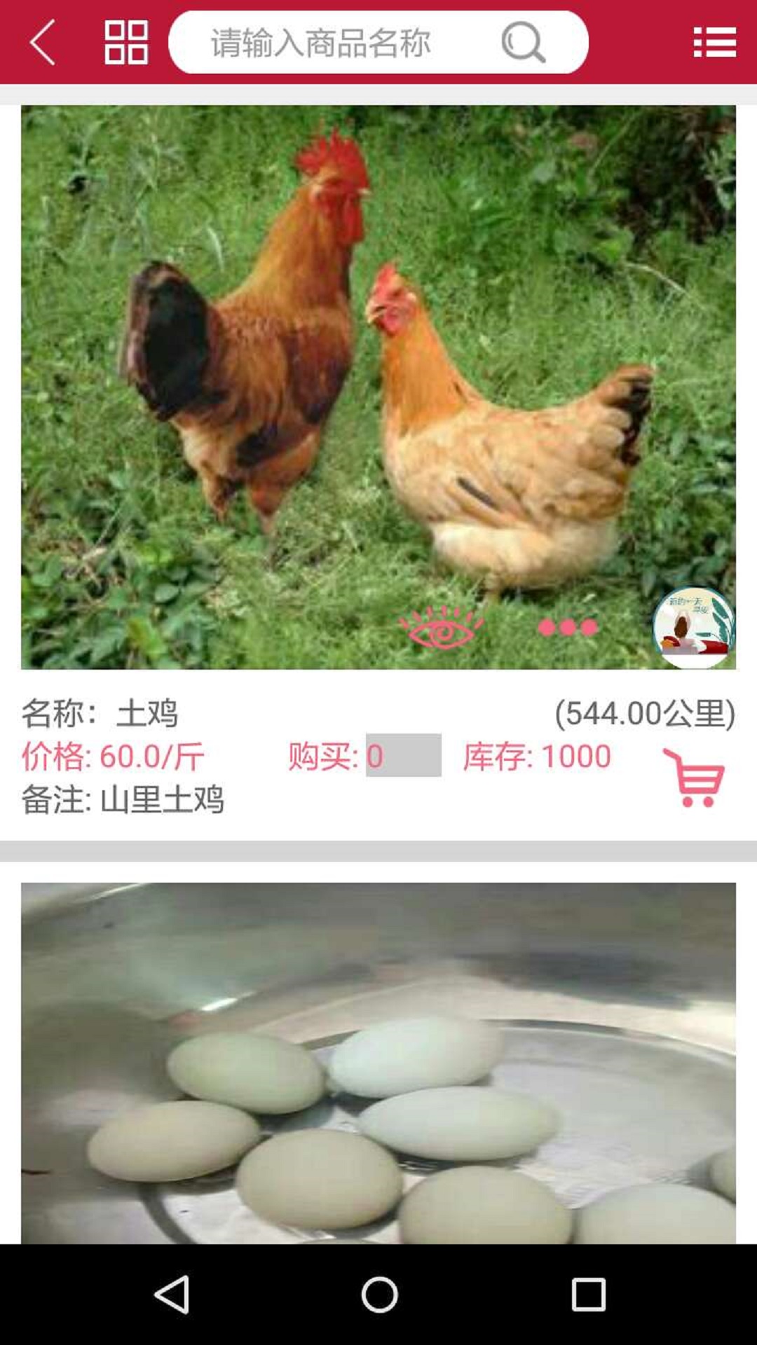 秀秀
