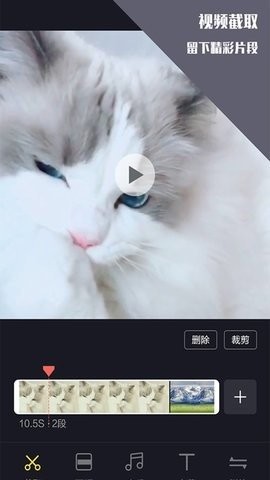 袋鼠视频app