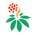 /ruanjian/fuwu/20221276.html