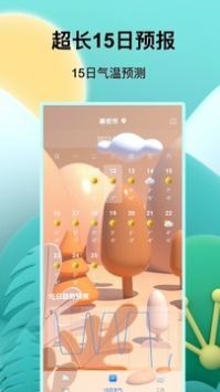天气预报王