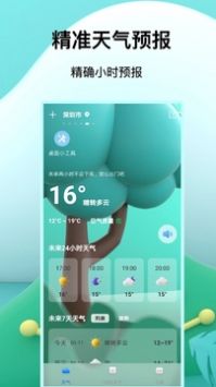 天气预报王