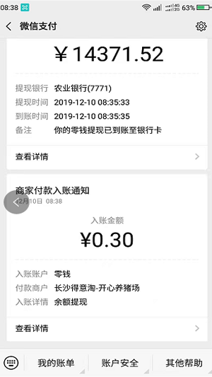 分红猪