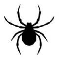 /ruanjian/zxyd/20223850.html