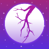 /ruanjian/zxyd/20223981.html