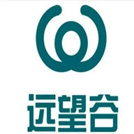 远望谷股票股吧