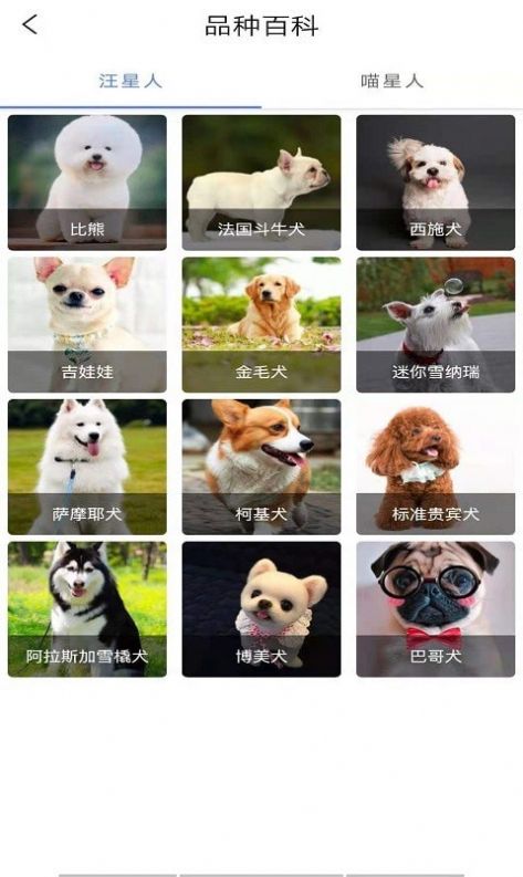 宠物知识全书 宠物知识全书