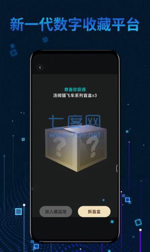 麦奇数字藏品