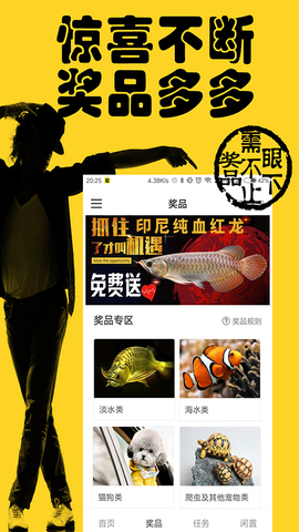 闲宠