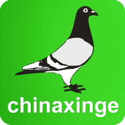 信鸽信息网
