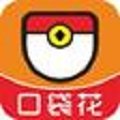 正规口袋花官网appv1.0