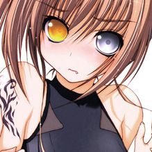 无翼鸟漫画app最新下载