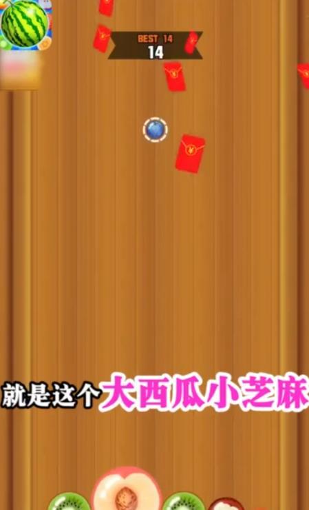 大西瓜小芝麻赚钱版