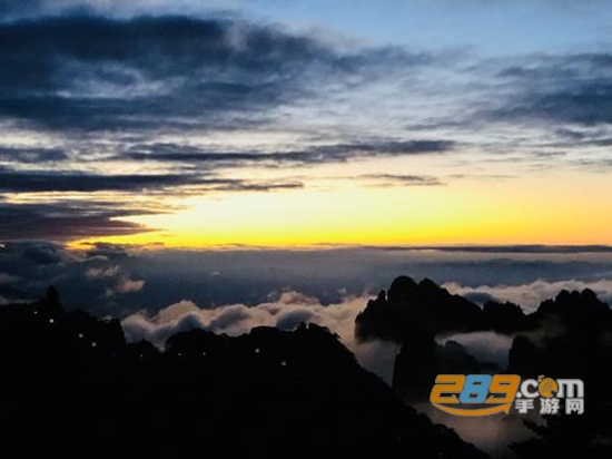 走近岳峰App最新免费版