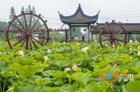 慢城常山app新闻手机客户端