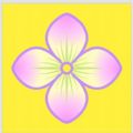 八仙花