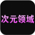 次元领域