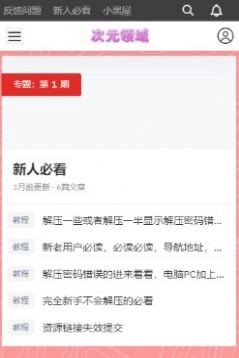 次元领域