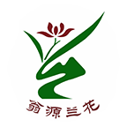 /ruanjian/zxyd/202213292.html