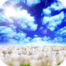 蓝天白云视频动态壁纸安卓版apk