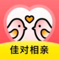 佳对视频相亲软件下载手机版2021 v2.5.2.1010