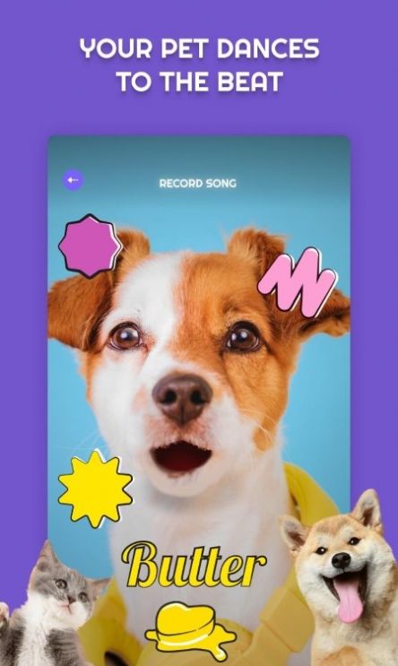 PetStar宠物唱歌app最新版图片1