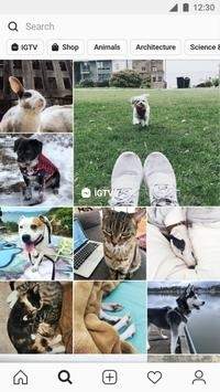 instagram最新版2021下载-instagram最新版2021安卓版下载
