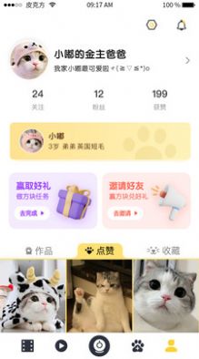 皮克方短视频app最新版图片1