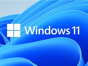 注意了 1.75GB容量的“Win11”不要下载：有毒