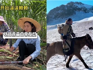 百万网友围观草原上厕所，广西母女互怼成流量密码，三农主播霸占抖音7天涨粉榜！