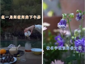 短视频大厂的「焦虑」：抖音快手重大改版，小红书知乎另起新灶