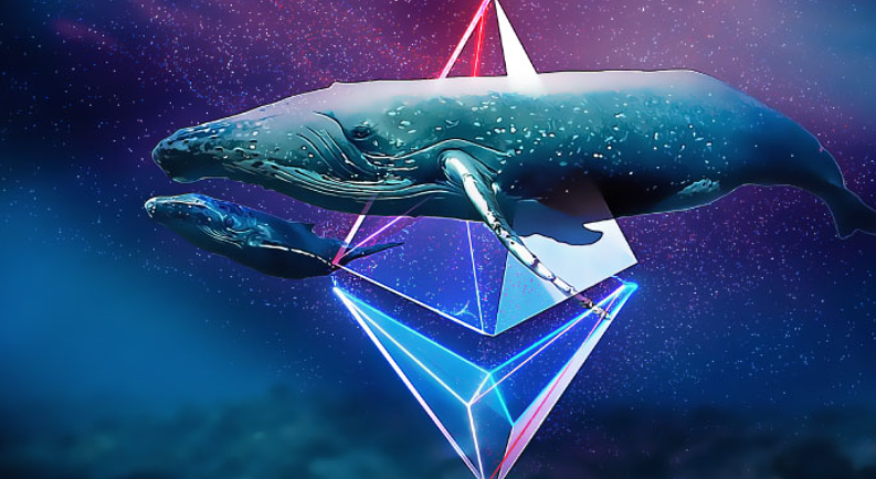 「metamask小狐狸钱包下载官网」FET 通过 ETH Whales 最常用的智能合约中的链接_BLBL手机助手