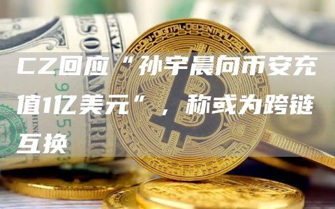 CZ回应“孙宇晨向币安充值1亿美元”，称或为跨链互换1