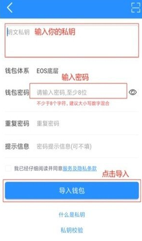 topay钱包