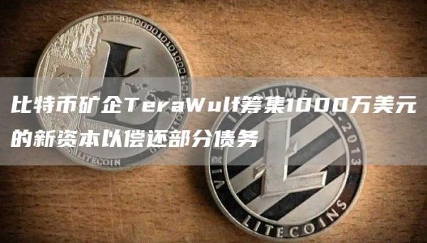 比特币矿企TeraWulf筹集1000万美元的新资本以偿还部分债务1
