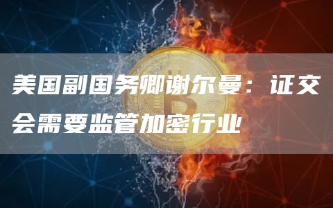 美国副国务卿谢尔曼：证交会需要监管加密行业1