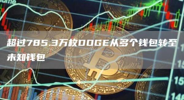 超过785.3万枚DOGE从多个钱包转至未知钱包1
