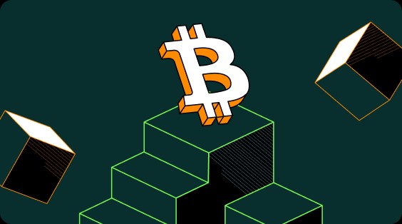 比特币btc钱包官网下载_比特币btc钱包官网下载v1.2.715
