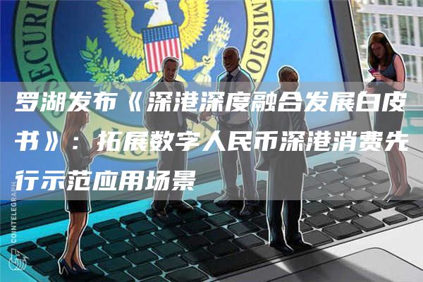 罗湖发布《深港深度融合发展白皮书》:拓展数字人民币深港消费先行示范应用场景1