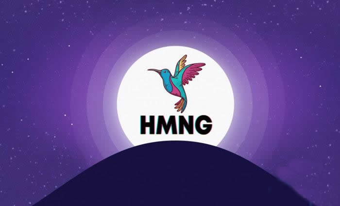 HMNG是什么币?HMNG/蜂鸟币前景分析1