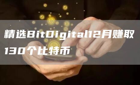精选BitDigital12月赚取130个比特币1