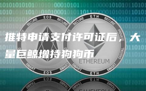 推特申请支付许可证后，大量巨鲸增持狗狗币1