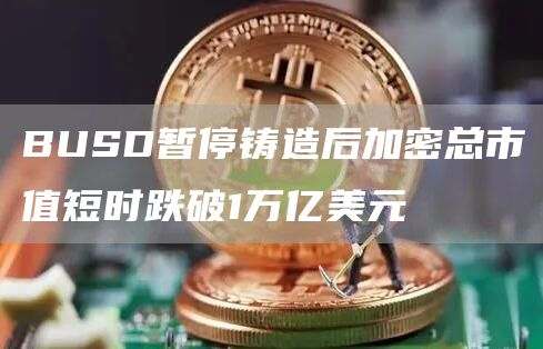 BUSD暂停铸造后加密总市值短时跌破1万亿美元1