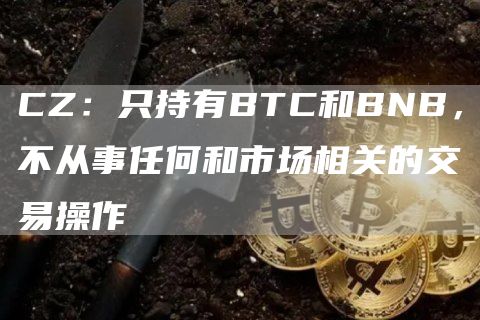 CZ：只持有BTC和BNB，不从事任何和市场相关的交易操作1