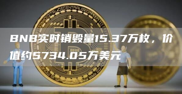 BNB实时销毁量15.37万枚，价值约5734.05万美元1